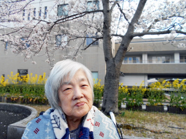 花見写真2