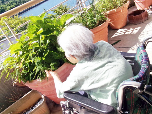 園芸活動写真6